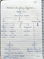 SBEC / SBILL  - Chapter 13 Various Initial Registration and Licenses Handwritten Notes - Image 4