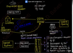 General Meeting Notes | Company Law | CS Satish | CS EXECUTIVE - Image 2